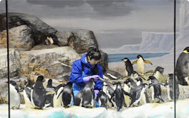 🐠 나고야항 수족관 이미지 8